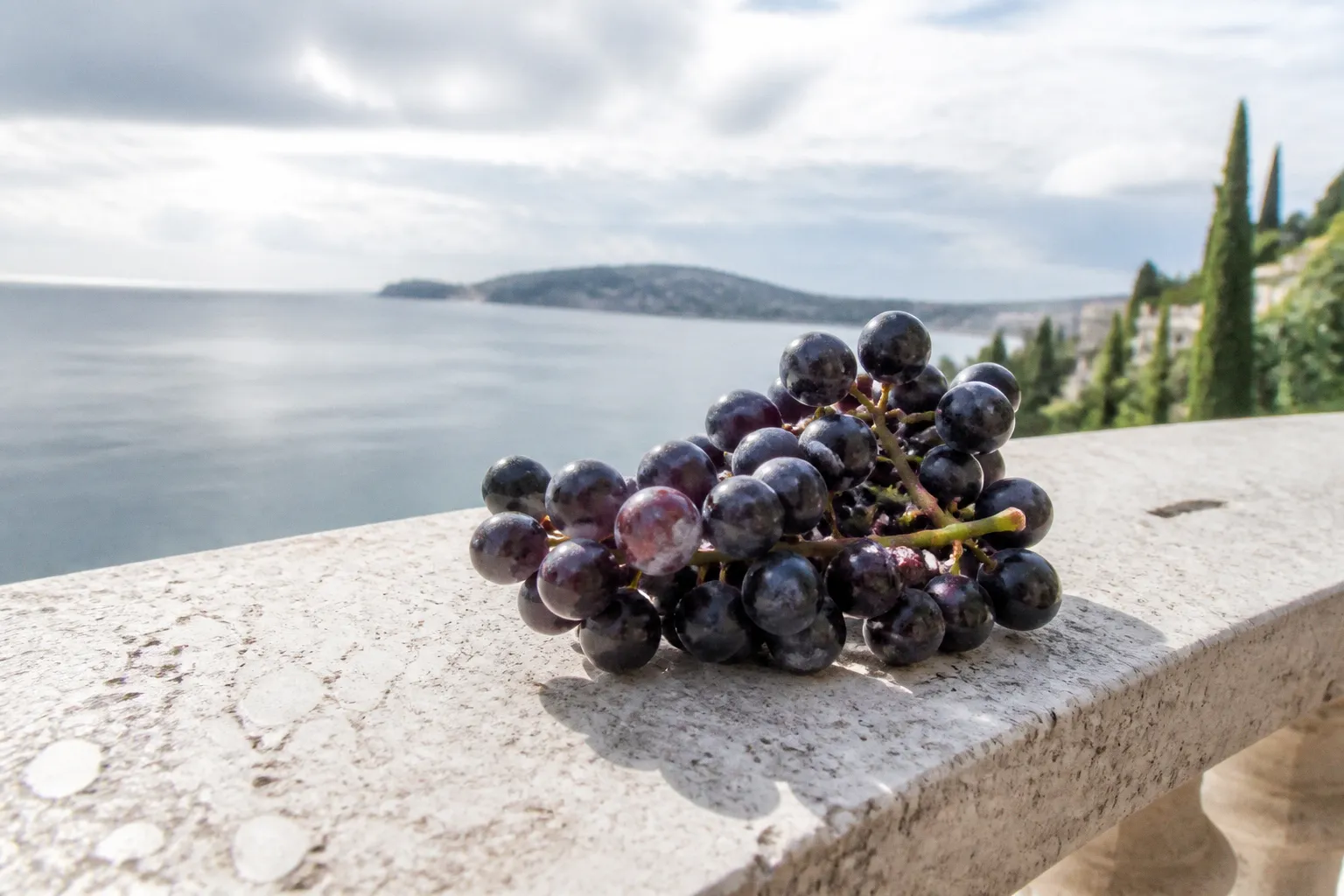 Monodiète de raisin : une fausse bonne idée selon moi