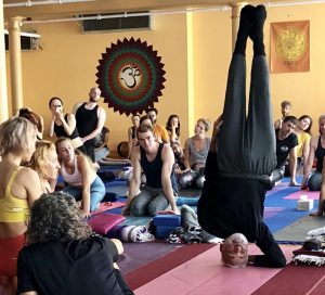 dharma mittra yoga wheel